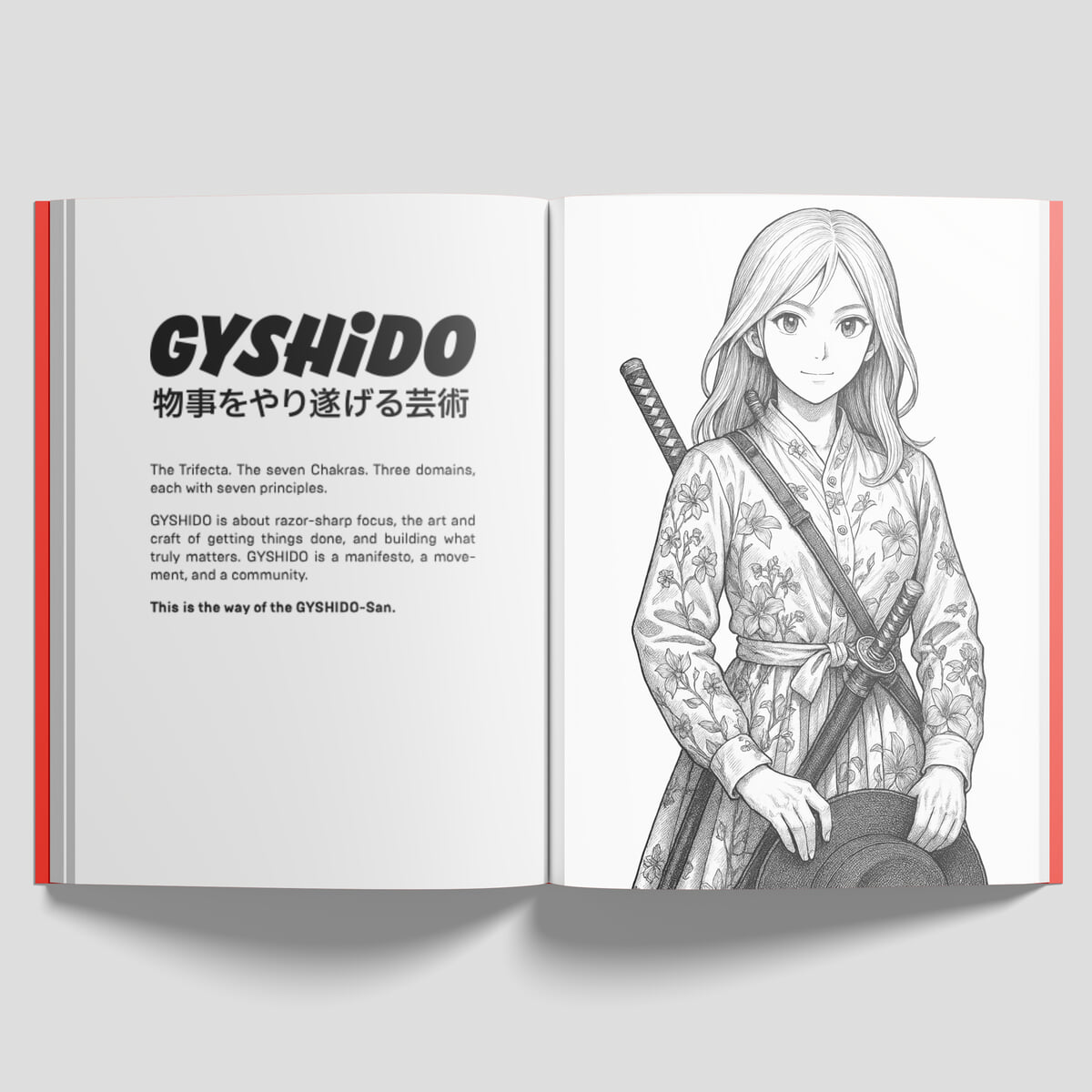The GYSHIDO Book - Inside